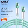 HAILE 10 Gigabit Multimode Fiber Optic Patch Cable