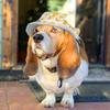 Breathable Dog Sunshade Hats Adjustable Pet Sun Hat Fashion Dog Fisherman Hat  for Cats Dogs
