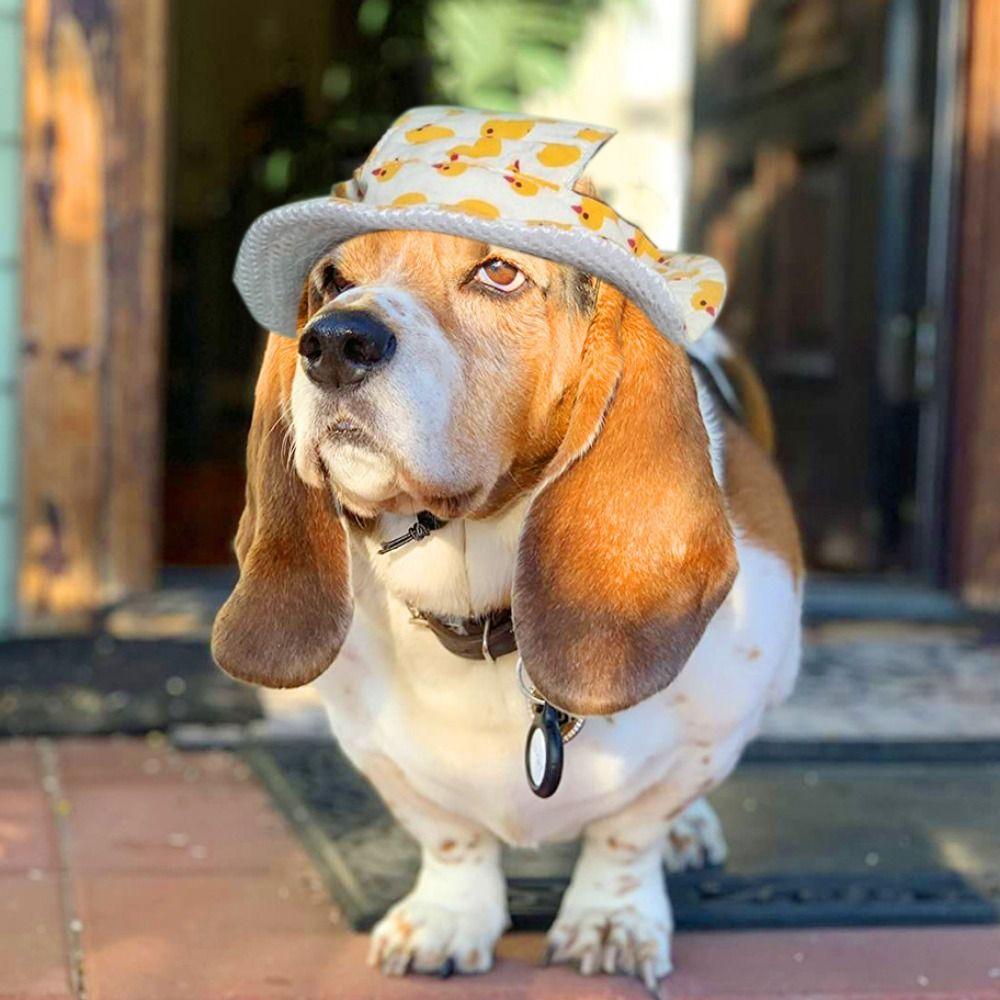 Breathable Dog Sunshade Hats Adjustable Pet Sun Hat Fashion Dog Fisherman Hat for Cats Dogs