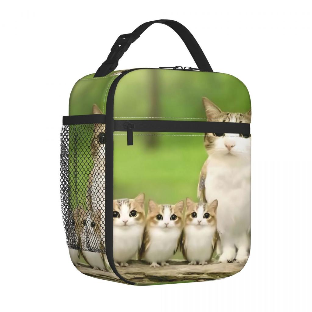 Meowl Cat Owl Meme Insulated Lunch Bag Food Container Portable Cooler Thermal Bento Box For Travel
