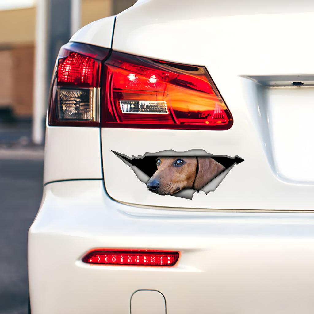 Tan Dachshund Car Stickers Scratch Blocking Self-Adhesive Waterproof Decal, Used for Car, Laptop, Motorcycle, Van, RV