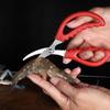 Seafood Scissors Lobster Fish Prawn Peeler Shrimp Crab Seafood Scissors Shears
