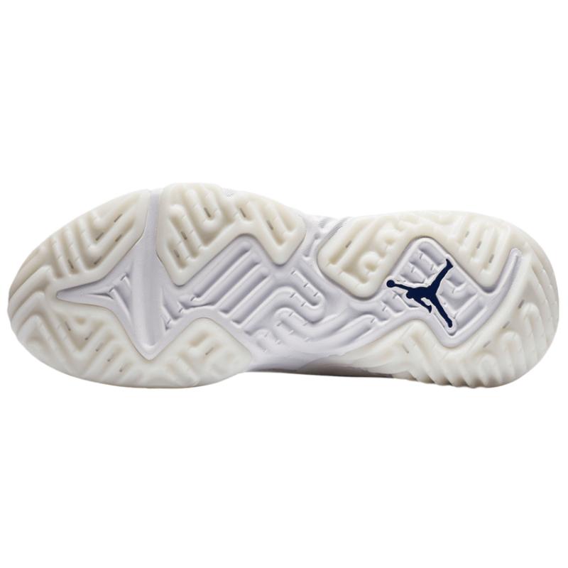 Jordan Delta Sp Белый Vast Grey Jordan CD6109-101