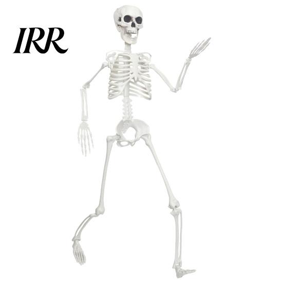 Reusable Halloween Decoration 3ft Life Size Skeleton, Full Body Posable Plastic Skeleton Prop, Realistic Model Human Bones for Yard Patio Lawn Garden