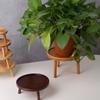 Green Pineapple Succulent Flower Vase Holder Flower Pot Tray Plant Stand Bonsai Holder Potted Base