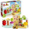 Конструктор LEGO DUPLO 10983 Биомаркет