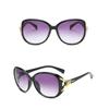 Eyewear UV400 Protection Goggles Polarized Oversized Sun Glasses Women's Sunglasses Retro Shades