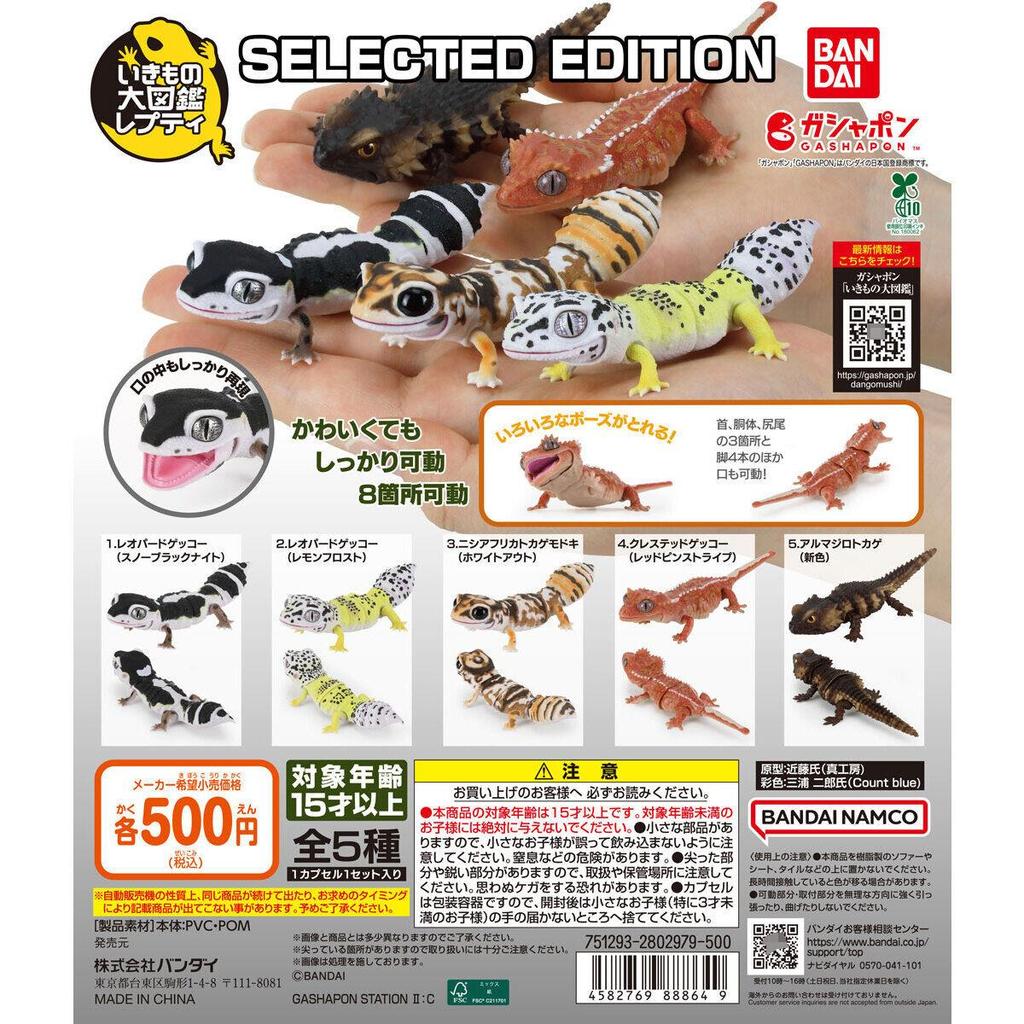 Japanese Genuine Gacha Scale Model Great Biological Encyclopedia Series Reptiles Armadillos Guard Lizards Action Figure Toys
