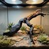 Natural Style Reptile Climbing Branch 3D Imitation Hermit Crab Climbing Toy  Gecko Lizard Enclosure