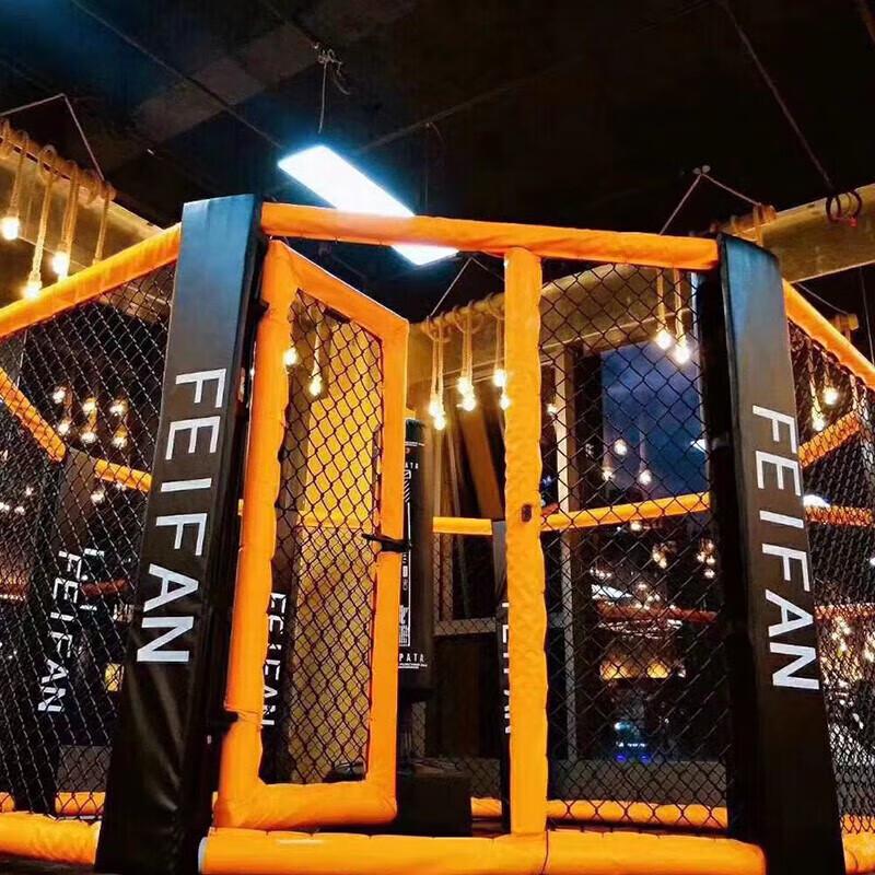 EM Octagon MMA Fighting Boxing Cage Ring