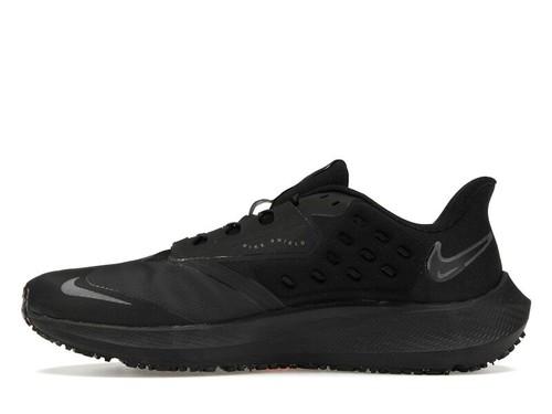 Nike Air Zoom Pegasus 39 Shield Low Черный - DO7625-001
