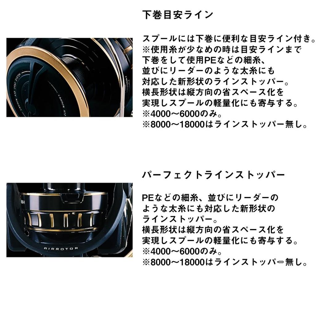 Daiwa Spinning Reel 23BG SW 6000D-P