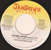 7inch Record NADZ & DANNY ENGLISH & CE'CILE - Silent River NONE Jamdown Records 2000 Jamaica Reggae, Ska & Dub Used