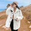 Imitation Fur New Light Fashion Integrated Medium and Long Coat Imitation Rex Rabbit Wool Lamb Wool Coat Women