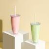 Leakproof Double Layer Straw Cup Large Capacity Drinking Bottle Practical Milk Tea Cup  Summer