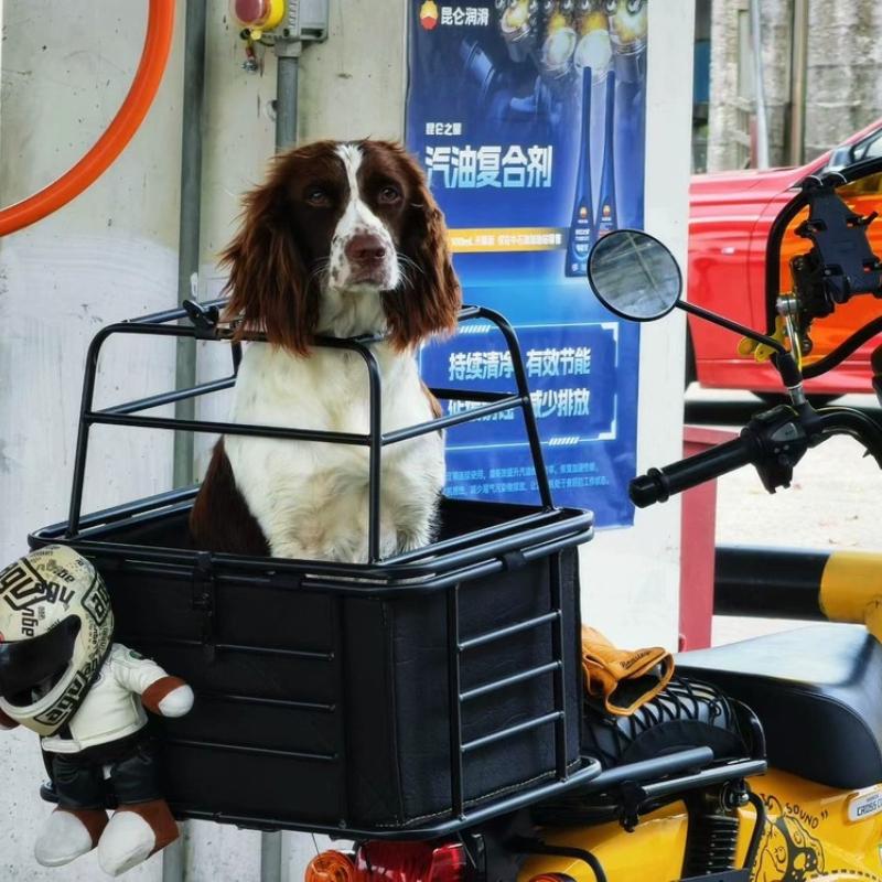 Electric Scooter Dog Basket for Bike Motorbike Pet Carrier for Back Seat Motorcycle Cat Crate Bicycle Front Mounted Dogs Carrier
