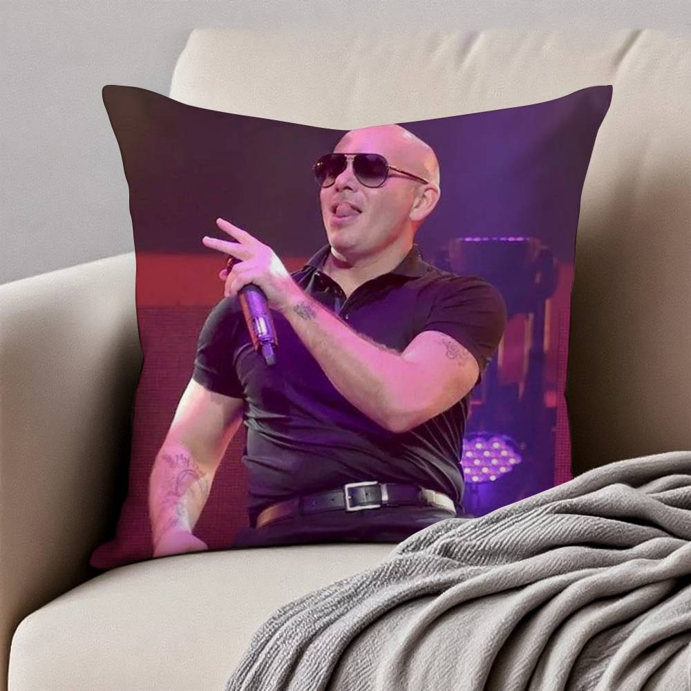 Mr Worldwide PPitbull Pillow Case Antidustmite Invisible zipper Sofa Bed