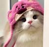 Милая Мультяшная Шляпа-Кошка для Питомцев Теплая Плюшевая Шапка Смешной Костюм для Собаки Кошки Фото Реквизит Декоративный Аксессуар