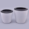 Automatic Water-Absorbing Succulent Flower Pot Hydroponic Basin Fleshy Flowerpot