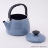 Fuji Enamel Wide Mouth Kettle 2.5L (Serenity Blue)