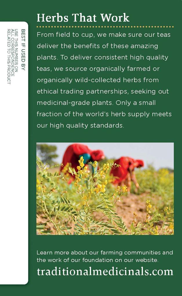 Alisan Органический чай из одуванчиков 24 г x 16 пакетиков Органический травяной чай, сертифицированный JAS, без кофеина (Органический продукт)