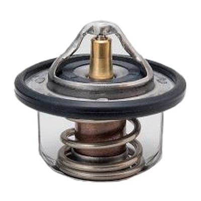 Термостат Tama 3951 W52DAA-84 с прокладкой