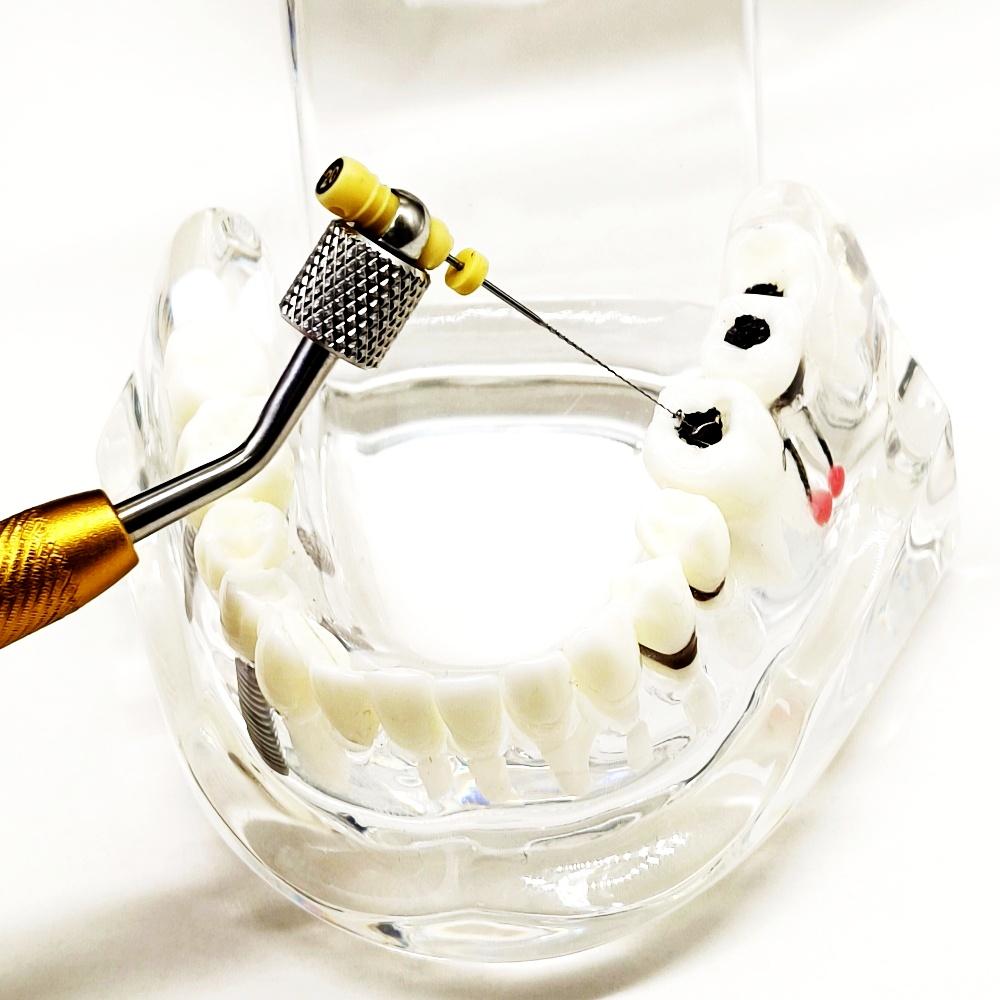 Держатель стоматологических эндодонтических файлов, захват для ручных файлов, машина для файлов корневых каналов, вращающийся держатель файлов с эндо-линейкой