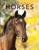 The Horses : Amazing Pictures & Fun Facts On Animals In Nature Book