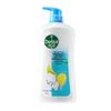Dettol Peppermint Ice Cool Shower Gel
