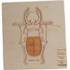 Stukapuka Montessori Deer Bug Puzzle, 1, Korea Best Toddler Puzzle
