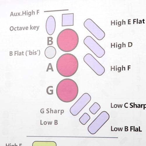 Saxophone Fingering Chart for Beginners, Chord Poster, Practice Accessory, Perfect for Practice and Learning