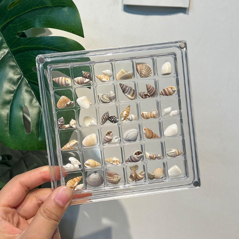 Acrylic Seashell Storage Box Multifunctional Beads Collection Box  Jewelry