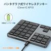 iClever Numeric Keypad Bluetooth Wireless Numeric Keyboard Pantograph Charging Ultra Thin Metal Structure Numlock Interlocking Connectable To Up To 2