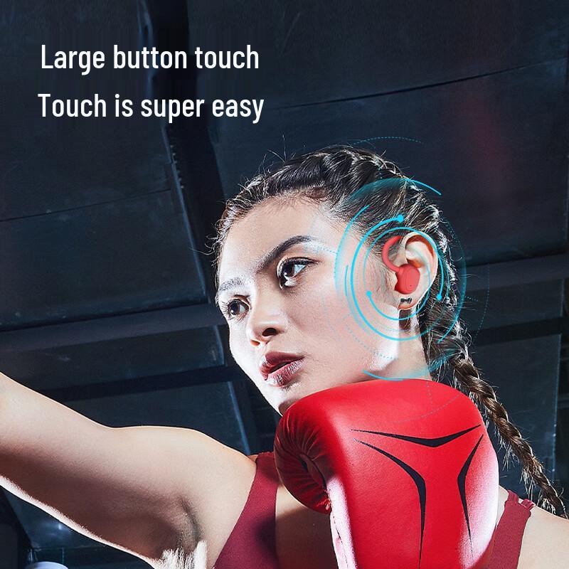 Newman Q5 True Wireless Ear-hook Bluetooth Earbuds