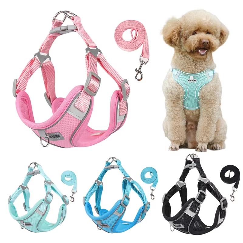 Summer new leash thin puppy pet chest strap vest type breathable dog chest back lightweight dog rope