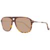 Мужские солнцезащитные очки Hackett Acetate S Brown