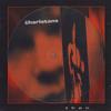 12-дюймовая пластинка CHARLATANS Then Picture Vinyl BBQ2711TE BEGGARS BANQUE 2026 Не Япония Рок