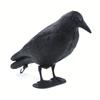 Black Life Size Crow Repellent Lifelike Hunting Decoy Outdoor Weed Pest Decoy  Courtyard Garden