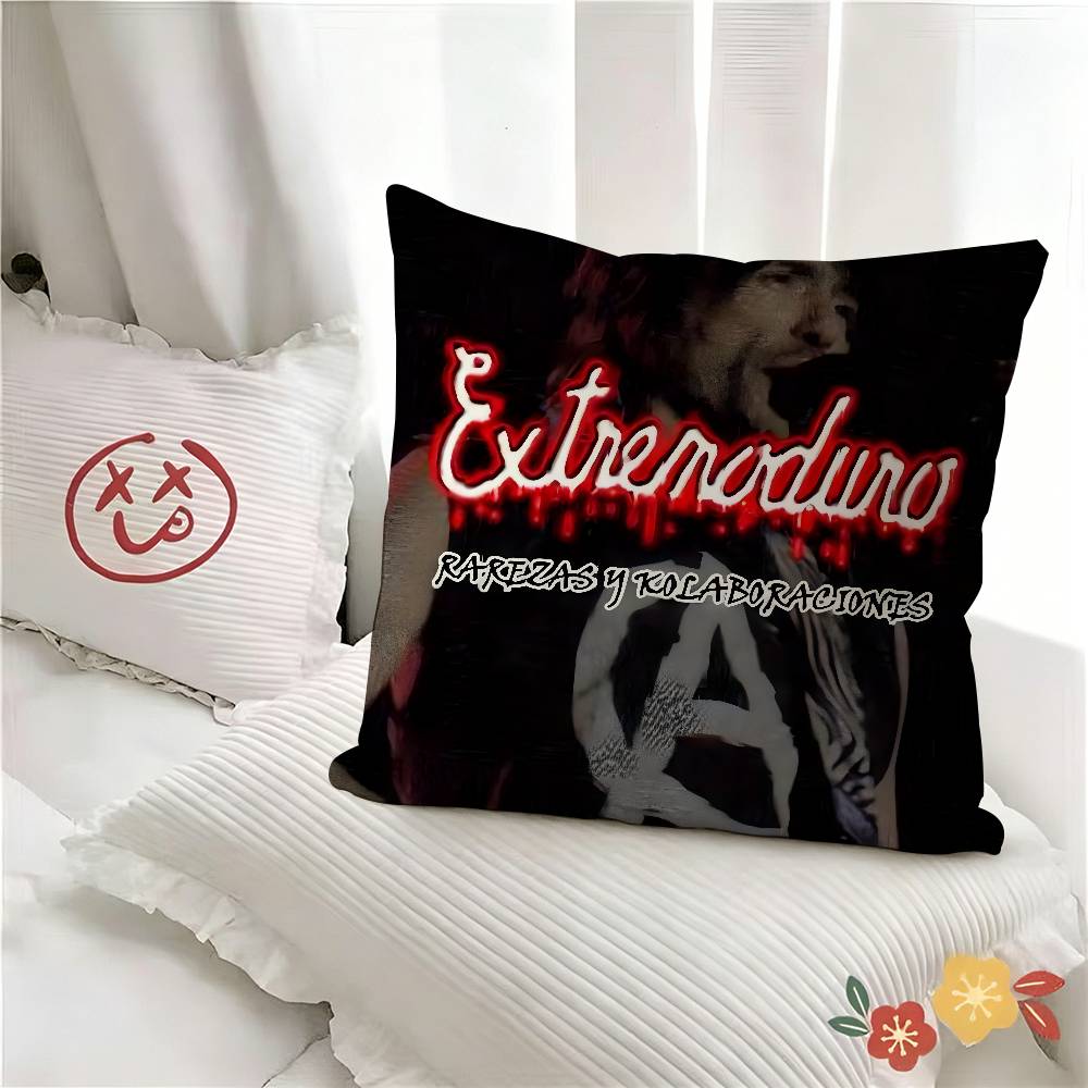 pc Album EExtremoduro Band Movie Pillow Case Fashion Square Pillowcase Bedroom Sofa Room Ins Decoration Leisure