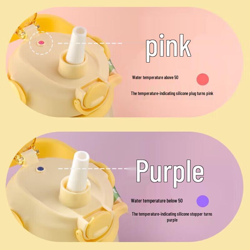 FUGUANG 316L Stainless Steel Large Capacity Insulated Straw Water Bottle