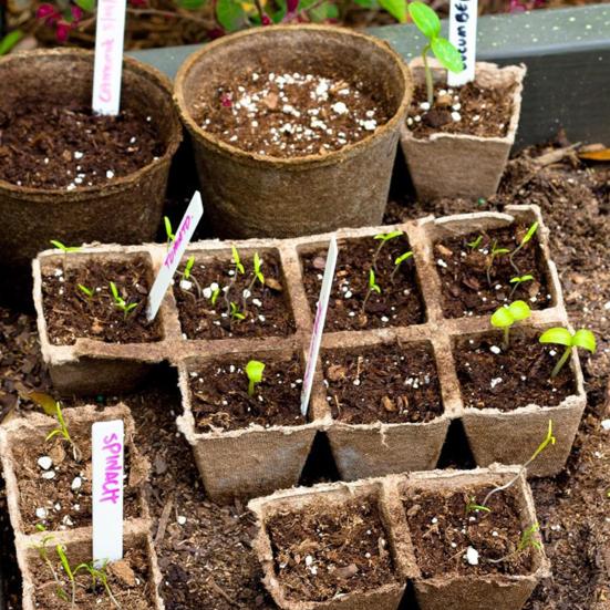 Юшенг 12-ячеечный поддон для рассады Биоразлагаемые горшки для растений Дышащий поддон для проращивания семян с бирками и инструментами для цветов, овощей, трав, домашнего садоводства