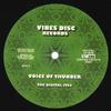 12-дюймовая пластинка DIGITAL ITES - Voice Of Thunder / Jah Victory VD12001 Vibes Disc 2021 Нидерланды Регги, Ска и Даб