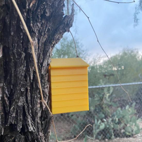 Настенный улей для пчел, напечатанный на 3D-принтере, дизайн сот, дом для пчел, съемный подвесной отель для насекомых, божьих коровок, опылителей, сада, двора, дерева