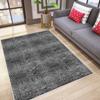 Washable Printed Carpet LNA0024-SD877