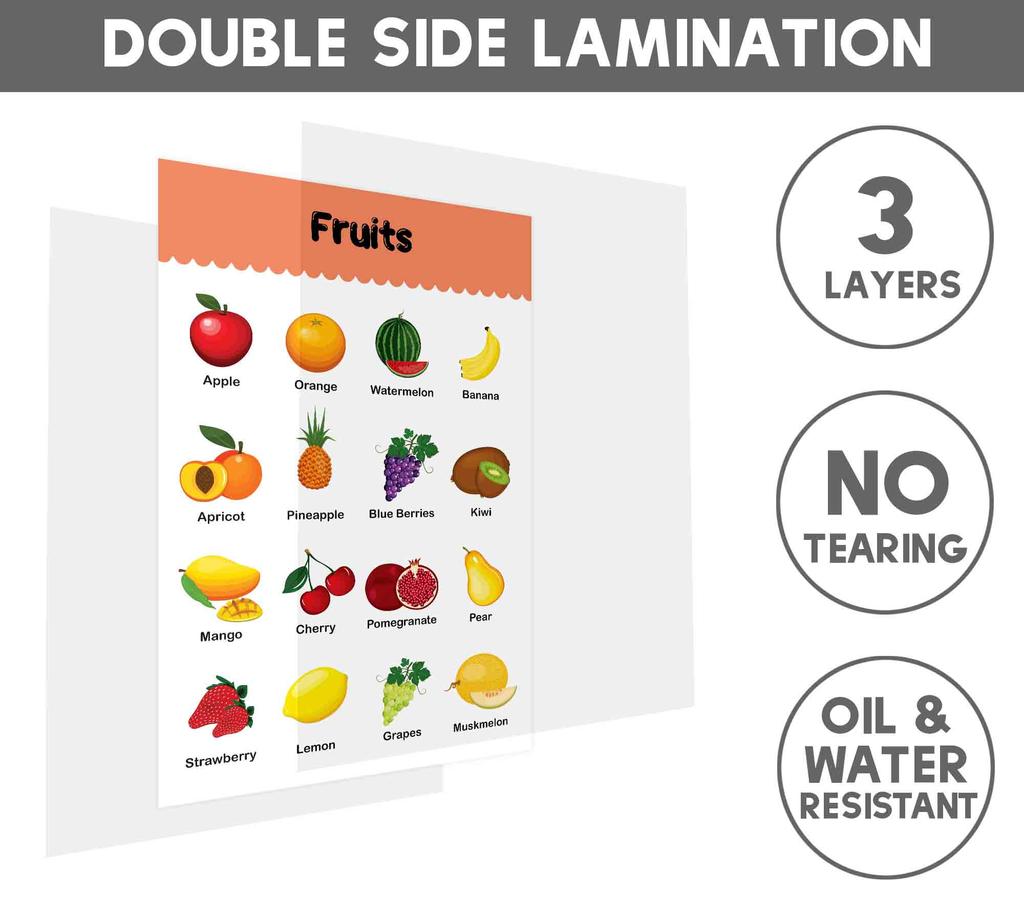 Traceease Образовательный плакат для начальной школы, упаковка из 25 ламинированных детских обучающих плакатов, отлично подходит для домашнего обучения в классе