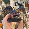 Новая Фигурка Действия из Аниме Мир Монстров Охотник Плюс Все Драконы Раталос Нергиганте Наргакуга Зиногр Кушала Модель Игрушка Подарок