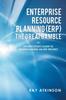 Книга Enterprise Resource Planning (Erp) the Great Gamble : An Executive's Guide To Understanding an Erp Project
