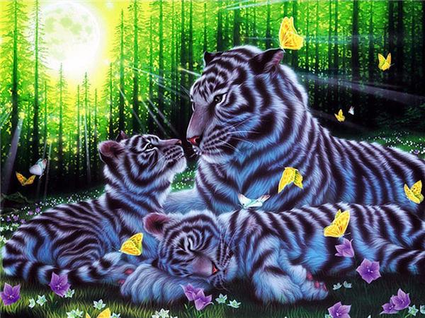 DIY 5d алмазная живопись кошка полная квадратная/круглая дрель Алмазная вышивка крестиком животное мозаика картина домашний декор