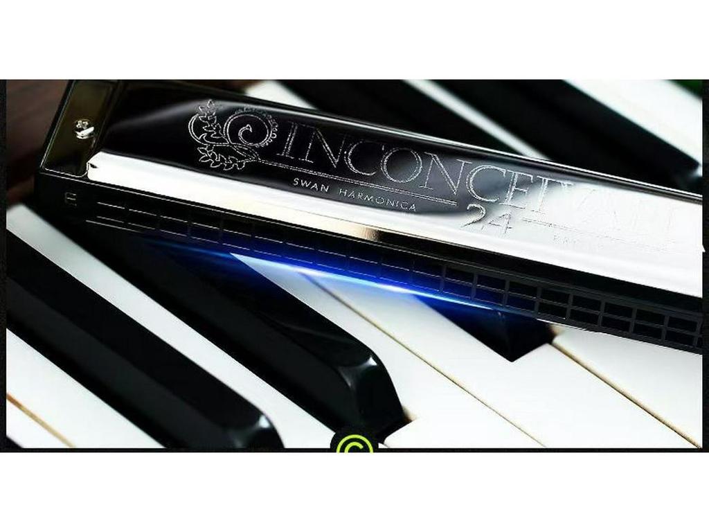 Набор губных гармоник Swan: 24-луночный, 7-предметный, 12-предметный Ящик для Студентов и Взрослых. Включает клавиши от A до G, идеально подходит для начинающих.