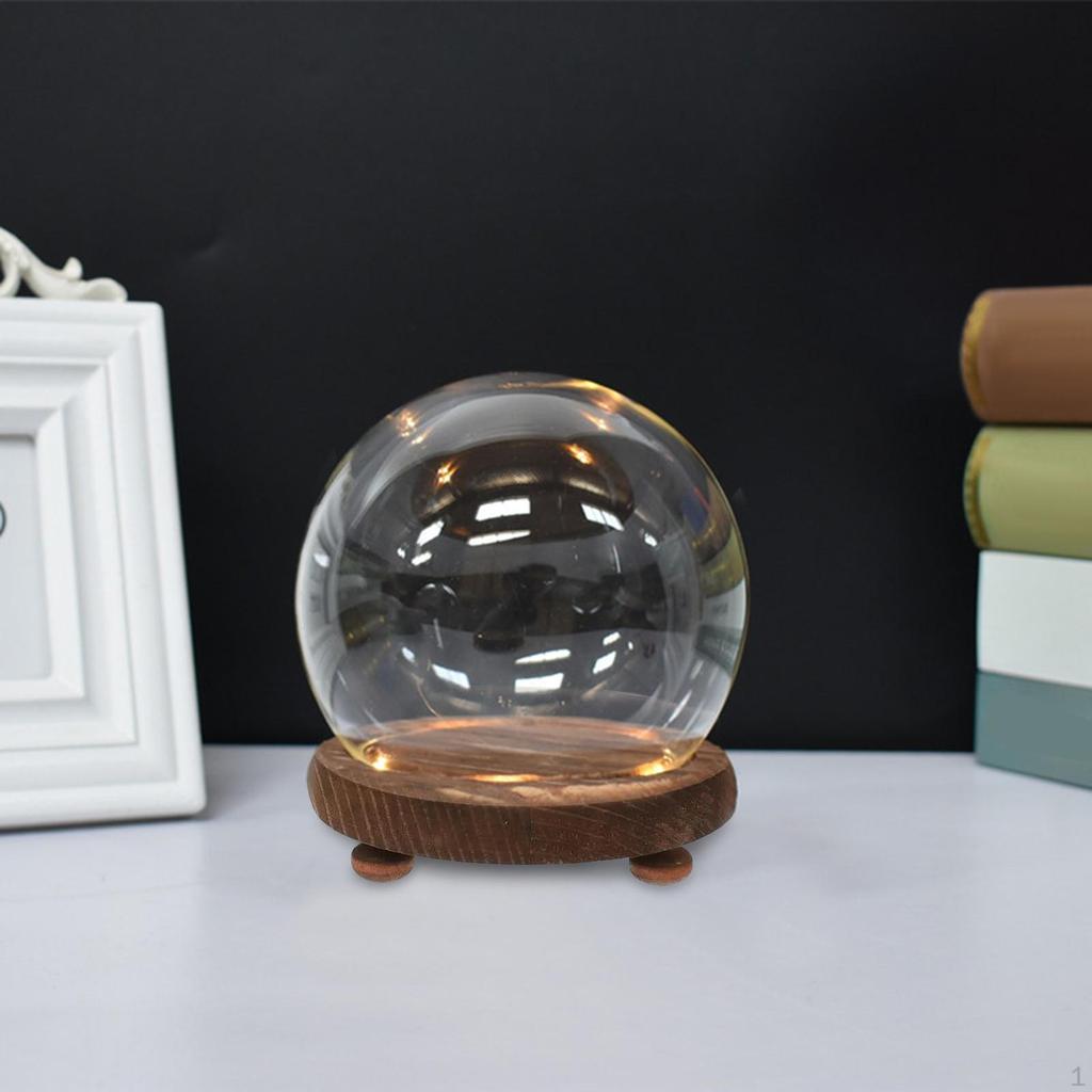 Clear Glass Container for Micro Landscape and Floral Displays